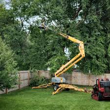 Best Tree Health Inspection  in Silver Lake, OH